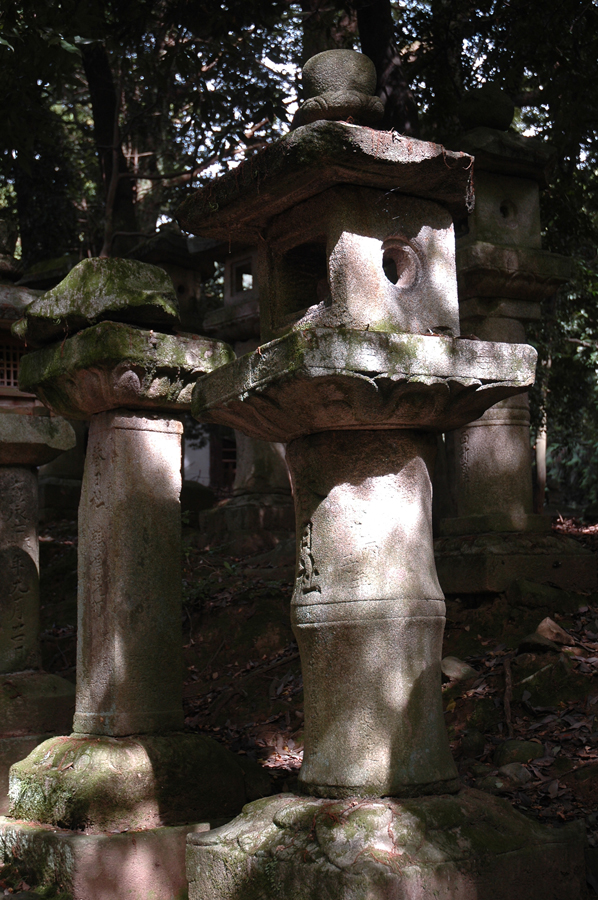 036   Japonia